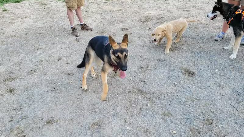 Behnke Memorial Dog Park - Mt Clemens, MI