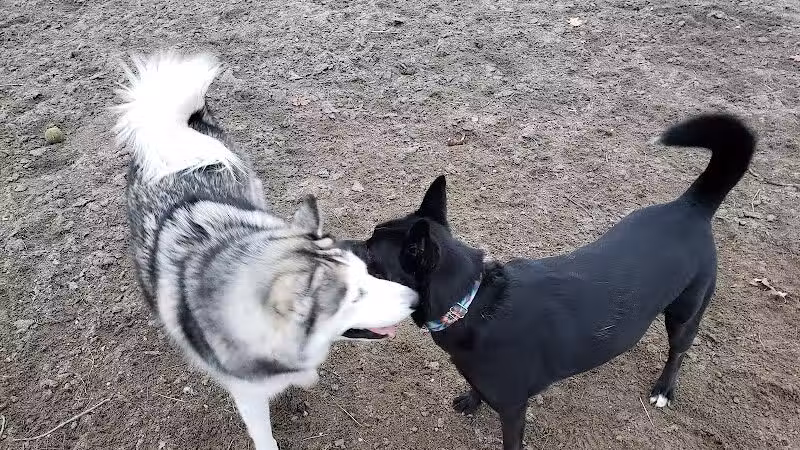 Behnke Memorial Dog Park - Mt Clemens, MI