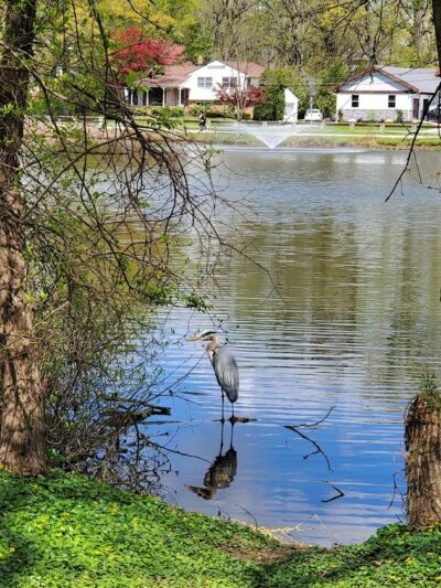 Haddon Lake Park - Mt Ephraim, NJ