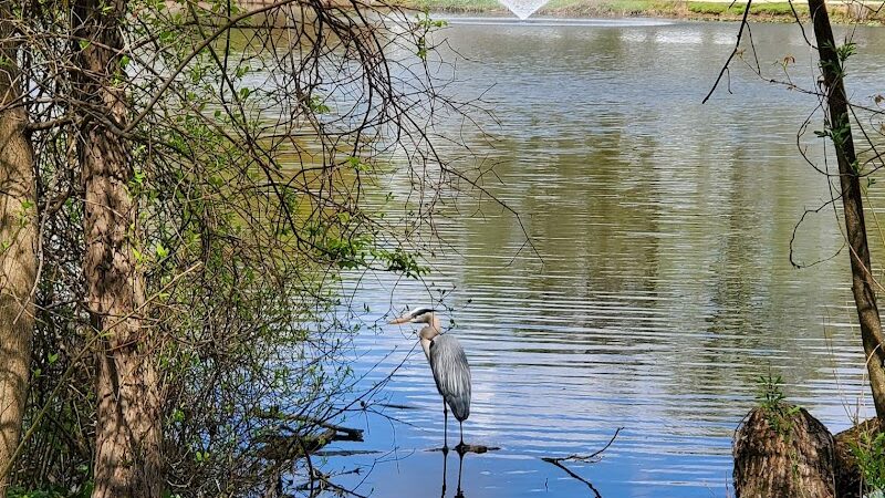 Haddon Lake Park - Mt Ephraim, NJ