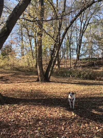 Haddon Lake Park - Mt Ephraim, NJ