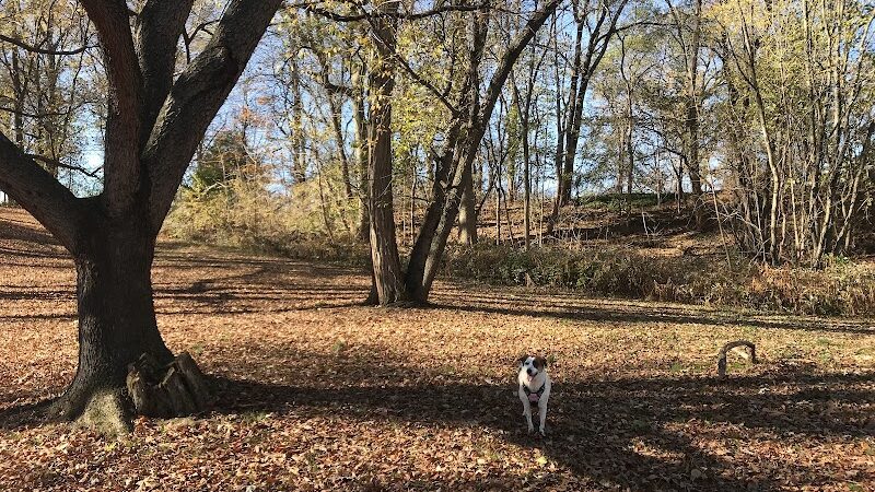 Haddon Lake Park - Mt Ephraim, NJ