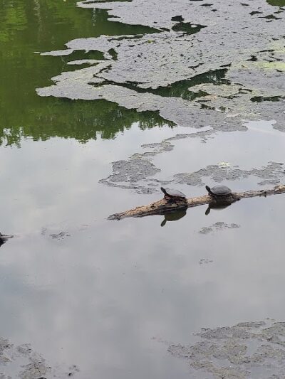 Haddon Lake Park - Mt Ephraim, NJ