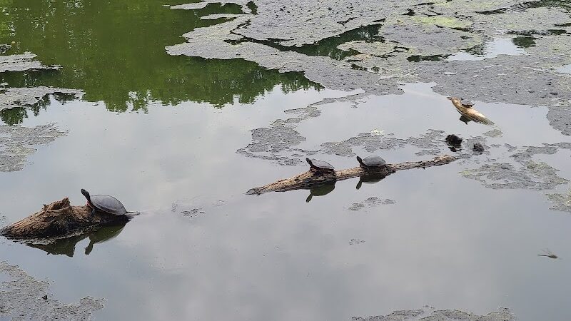 Haddon Lake Park - Mt Ephraim, NJ