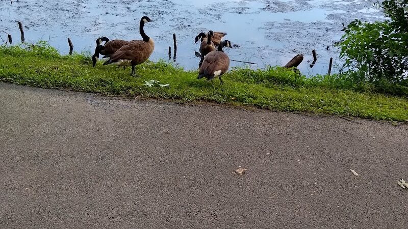Haddon Lake Park - Mt Ephraim, NJ
