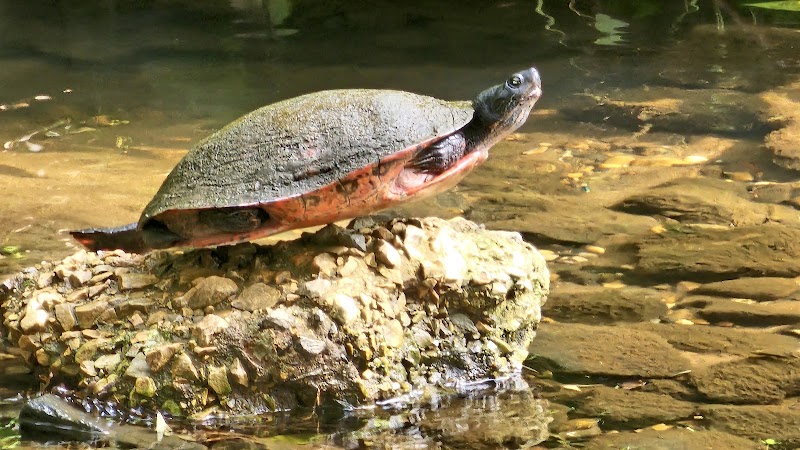Haddon Lake Park - Mt Ephraim, NJ