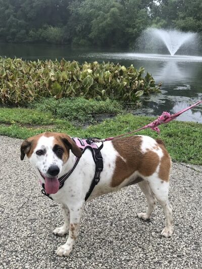 Haddon Lake Park - Mt Ephraim, NJ