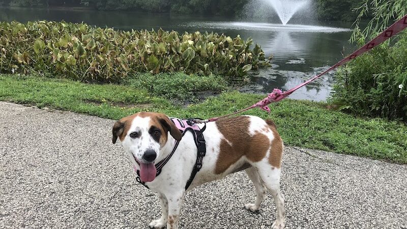 Haddon Lake Park - Mt Ephraim, NJ
