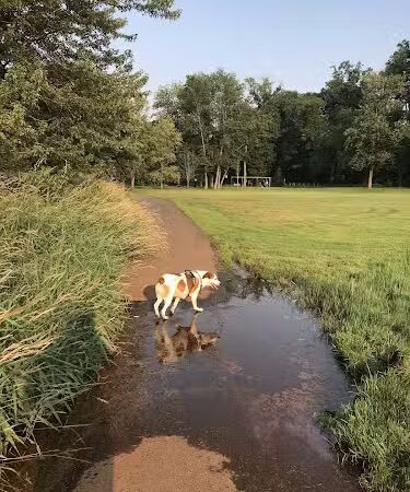Haddon Lake Park - Mt Ephraim, NJ