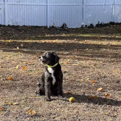 Dog Park of Laurel Green Apartments - Mt Laurel Township, NJ