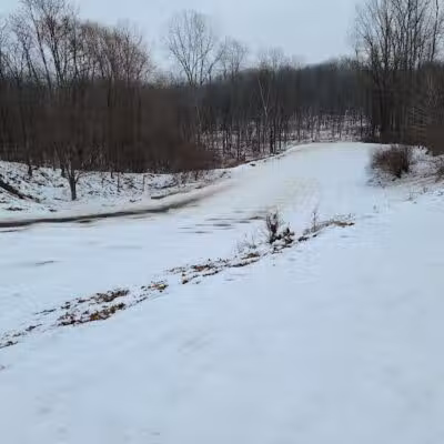 Hannah's Bark Park (Pass Required) - Mt Pleasant, MI
