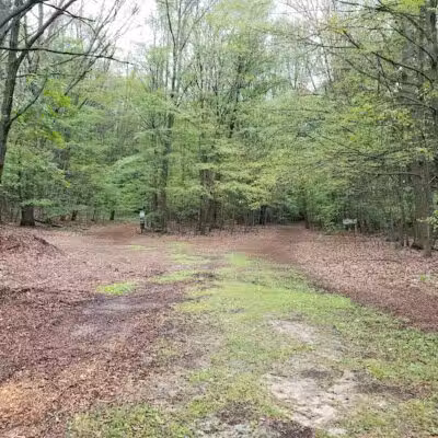 Hannah's Bark Park (Pass Required) - Mt Pleasant, MI