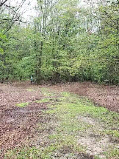 Hannah's Bark Park (Pass Required) - Mt Pleasant, MI