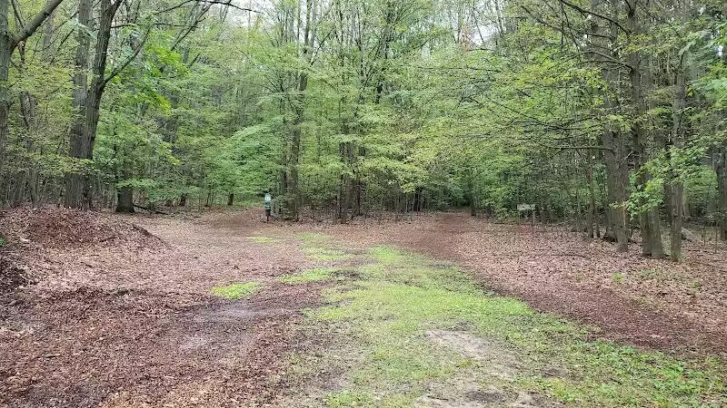 Hannah's Bark Park (Pass Required) - Mt Pleasant, MI