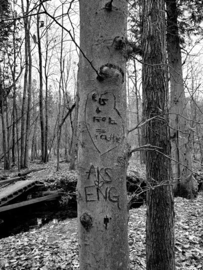 Hannah's Bark Park (Pass Required) - Mt Pleasant, MI