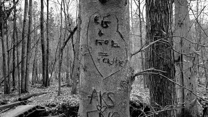 Hannah's Bark Park (Pass Required) - Mt Pleasant, MI