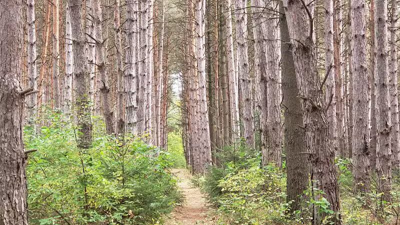 Meridian Park - Mt Pleasant,