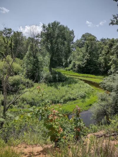 Meridian Park - Mt Pleasant,