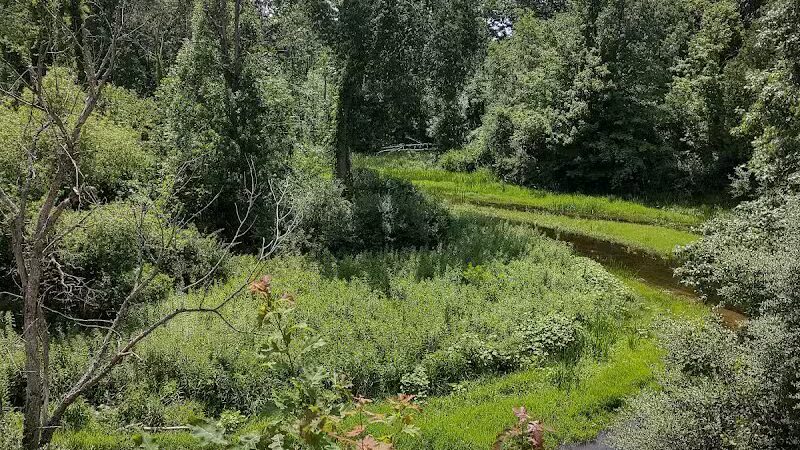 Meridian Park - Mt Pleasant,