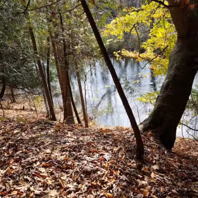 Meridian Park - Mt Pleasant,