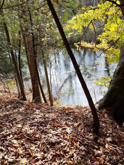 Meridian Park - Mt Pleasant,