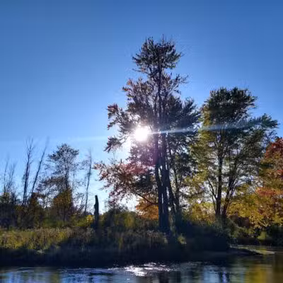 Meridian Park - Mt Pleasant,