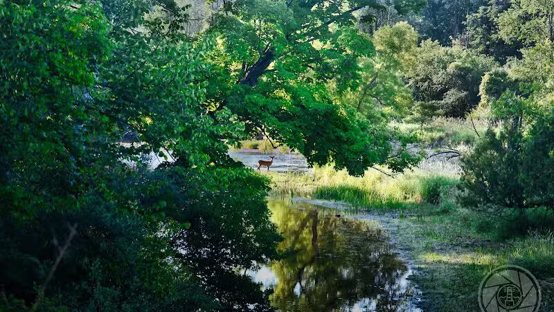 Meridian Park - Mt Pleasant,