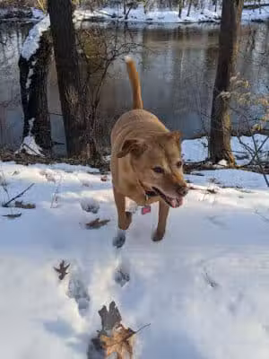 Meridian Park - Mt Pleasant,