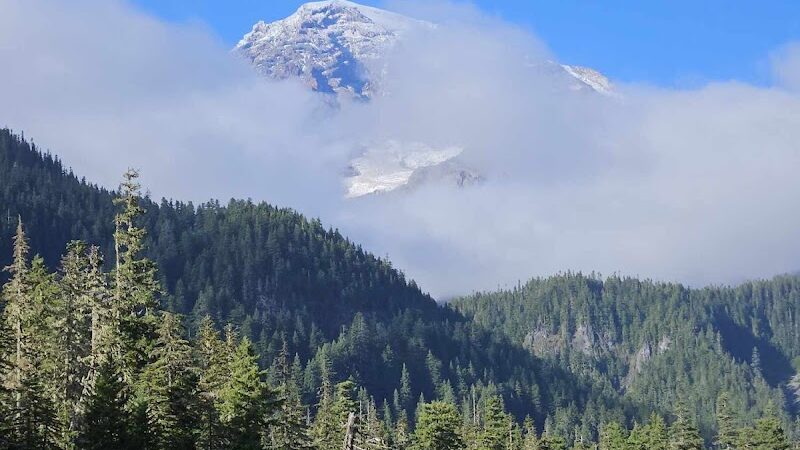 Mount Rainier Park - Mt Rainier, MD