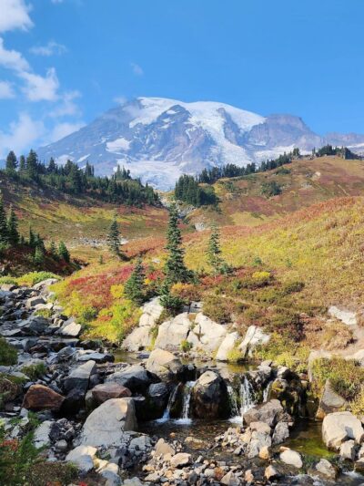 Mount Rainier Park - Mt Rainier, MD