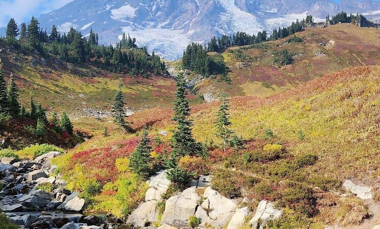 Mount Rainier Park - Mt Rainier, MD