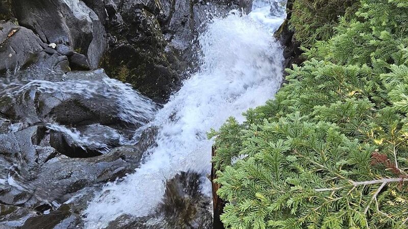 Mount Rainier Park - Mt Rainier, MD