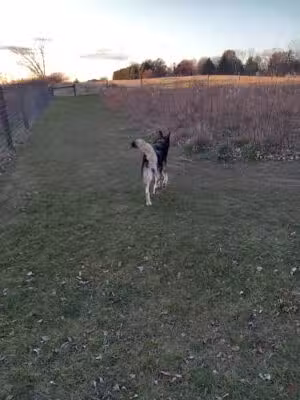 Mt. Vernon Dog Park - Mt Vernon, IA