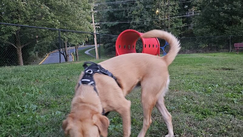 Bonnie Ridge Dog Park - Mt Washington, MD