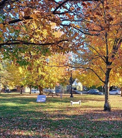 Emerson Dog Park - Muncie, IN