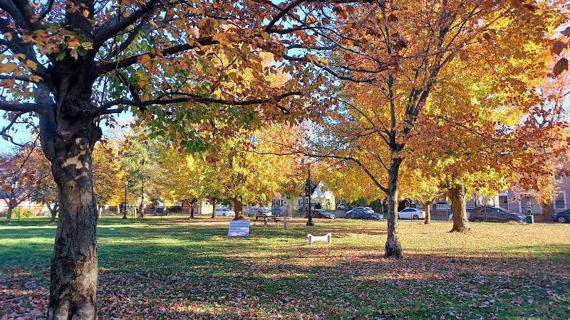 Emerson Dog Park - Muncie, IN