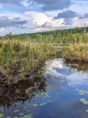 Sand Point Marsh Trail - Munising,