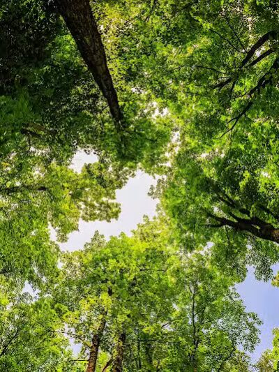 Miners Castle Trailhead - Munising,