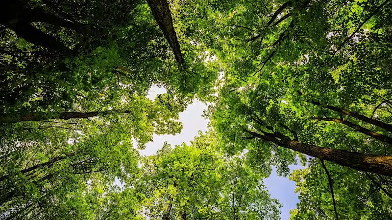 Miners Castle Trailhead - Munising,