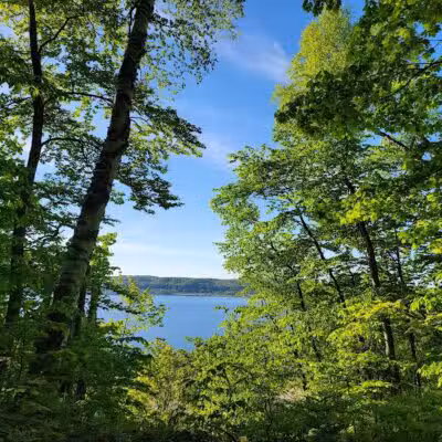 Munising Mountain Bike Park - Munising,