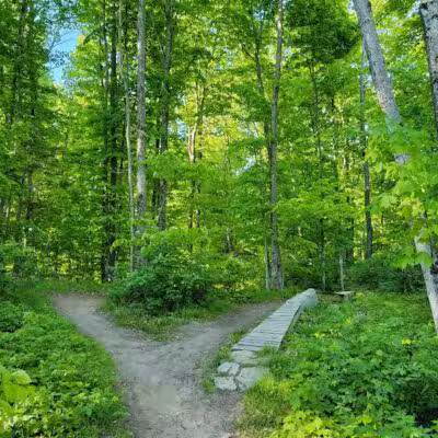 Munising Mountain Bike Park - Munising,