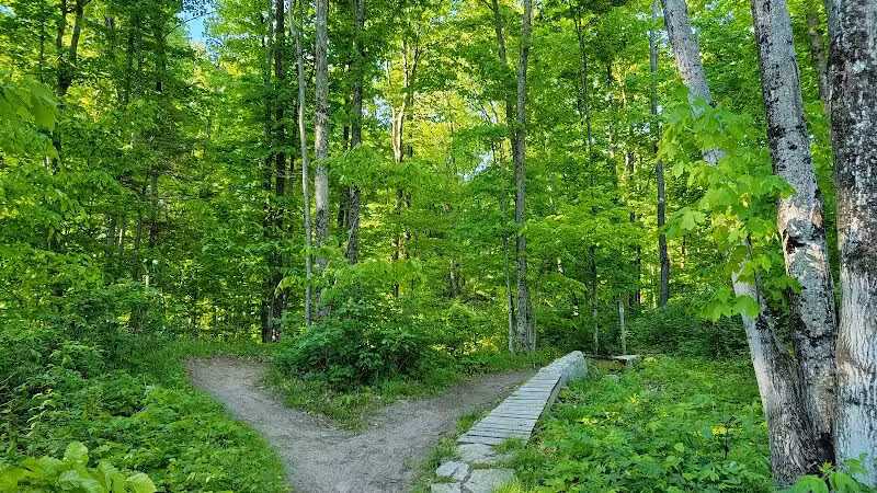 Munising Mountain Bike Park - Munising,