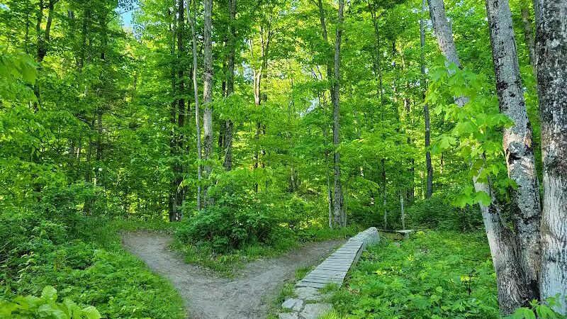 Munising Mountain Bike Park - Munising,