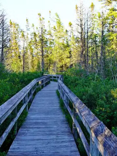 Sand Point Marsh Trail - Munising,