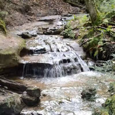Wagner Falls Scenic Site - Munising,