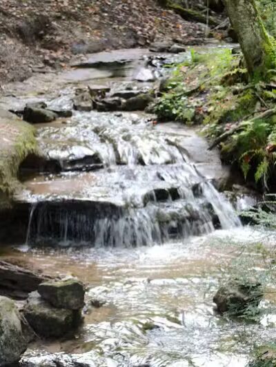 Wagner Falls Scenic Site - Munising,