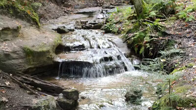 Wagner Falls Scenic Site - Munising,