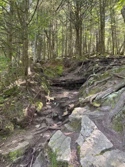 Wagner Falls Scenic Site - Munising,