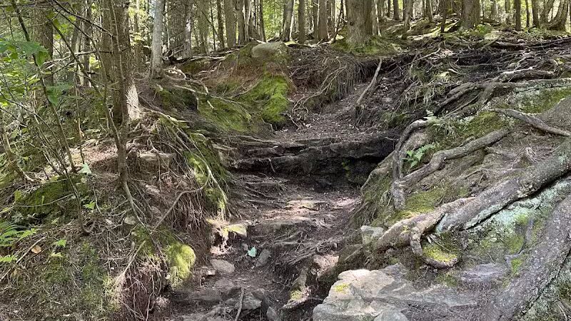 Wagner Falls Scenic Site - Munising,