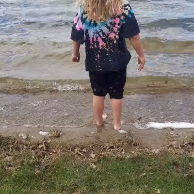 Dog Beach - Munith, MI